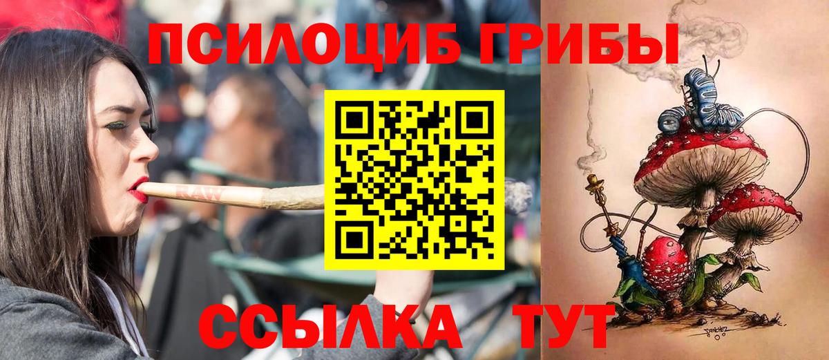A PVP Новочебоксарск